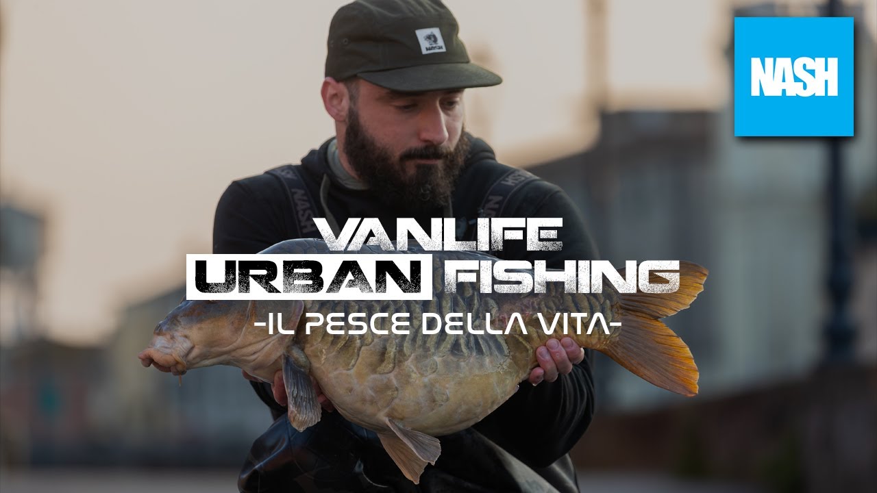 Vanlife, Urban Fishing: Il Pesce della Vita - carp fishing