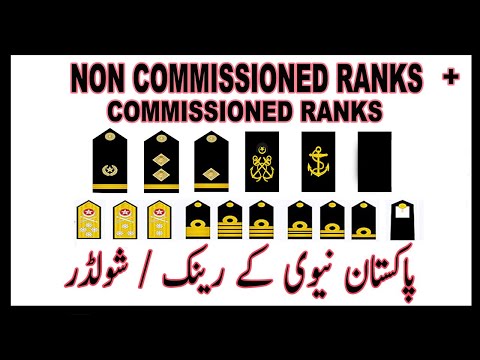 NAVY NON COMMISSIONED RANKS AND INSIGNIA EXPLAINED IN 3 MINUTE AND COMPARE WITH ARMY| POINT TV URDU