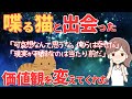 【不思議な体験】獣医師なったばかりの頃、喋る猫と出会った。猫は私に色々教えてくれた。【2ch・ゆっくり解説】