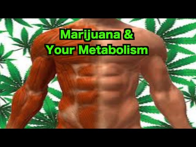 Marijuana & Your Metabolism