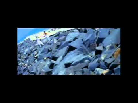 o nenje sivi song o nenje sivi song
