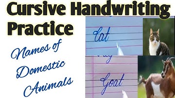 Lesson 7- Cursive Hanwriting Practice/Domestic Animals Name/Farm Animals Names/Common Pet Animals