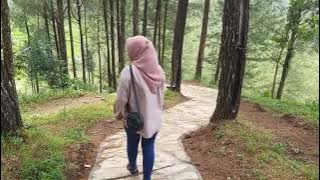 Story WA Mentahan Halu Jalan Jalan sama cewe cantik. buat manasin mantan, prank temen.