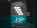 This Giant Animal Has ZERO Bones! 🦈😱 #shorts #quiz #reels