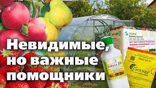 Биопрепараты С Полезными Микроорганизмами. Тонкости Использования