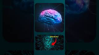 Super brain gurinchi telusa? #pibutalks