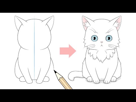 How to Draw Anime Cat Girl (15 Steps With Video) - AnimeOutline