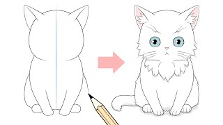 How To Draw A Cute Anime Cat