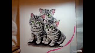 #DRAWING CATS