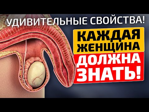 Поражает на что способно это обычное растение! Шалфей лечебные свойства и противопоказания