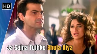 Jaa Sajna Tujhko Bhula Diya | Raja (1995) | Heart Touching 90s Sad Song | Madhuri Dixit | Sanjay K