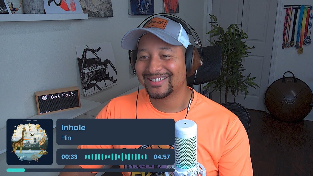 Plini- Inhale REACTION AND REVIEW