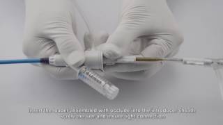 Lifetech Fustar Steerable Sheath