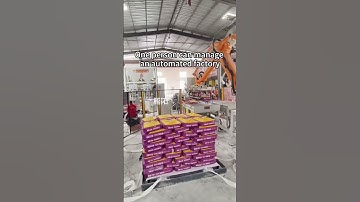 One person can manage an automated factory #roboticpalletizer #palletizer #factory #machine