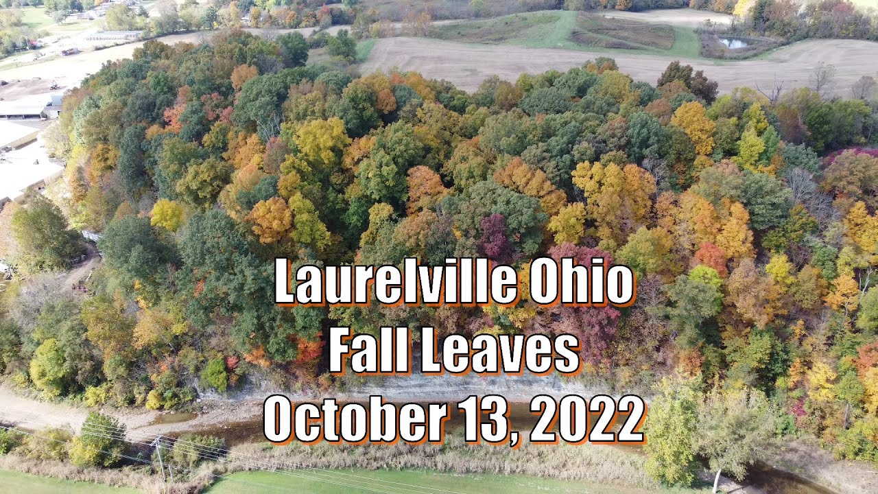 Laurelville Ohio Fall Leaves October 13, 2022 drone view in 4K YouTube
