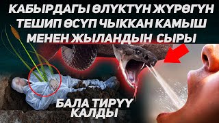 Кабырдагы камыш менен жыландын сыры. Расул медиа // Rasul media // кабыр азабы #rasul_media