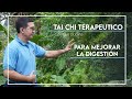 TAI CHI TERAPEUTICO para mejorar la DIGESTION y Eliminación  😏