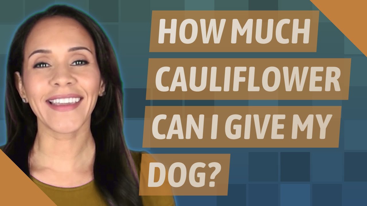 How Much Cauliflower Can I Give My Dog?
