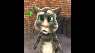 retarded cat 2