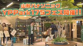 山形パナソニックYPPark175フェスが開催