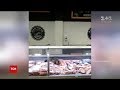 Кіт влаштував дегустацію ковбас на прилавку супермаркету у Києві