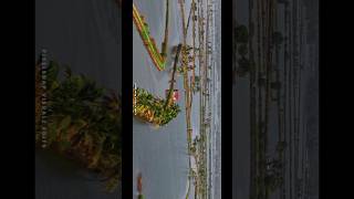 Kerala - Pixelsnap Visualz Edits