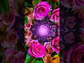 A Bouquet of Roses transforming into a Psychedelic Dream World #psychedelicart #fractals #trance