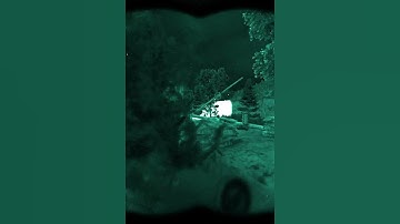 Pure Nightmare | Stalker Anomaly Gamma #shorts #stalker2 #stalker #anomaly #stalkeranomaly