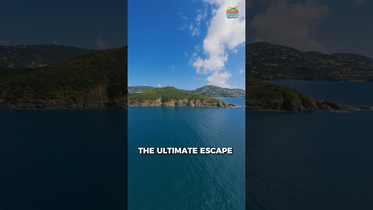 Why a Cruise is the Ultimate Stress-Free Vacation! 🚢 #Shorts