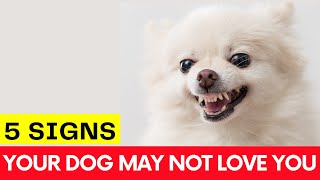 5 Signs Your Dog Doesn’t Love You