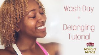 Easy Detangling Method | Wash Day feat. African Pride