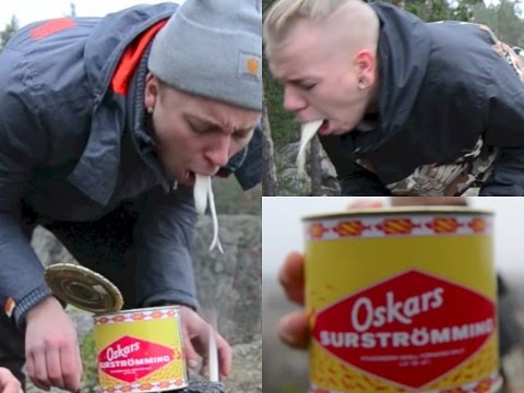 Una lata de Surstromming - delicadeza sueca - un ejemplo de la comida  extraña o extraña que comen las personas de todo el mundo Fotografía de  stock - Alamy