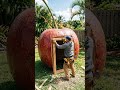 The Ultimate Cherry House Makeover Timelapse #howitsmade#factory #luxuryfashion #fruits #fruitart