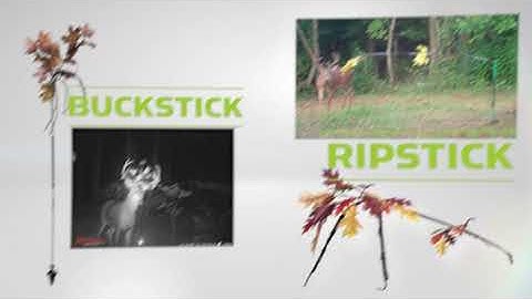 All in One Licking Branch, Rubbing Post and Mock Scrape System