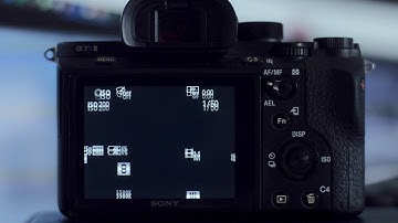 Sony A7S II Monitor Problem