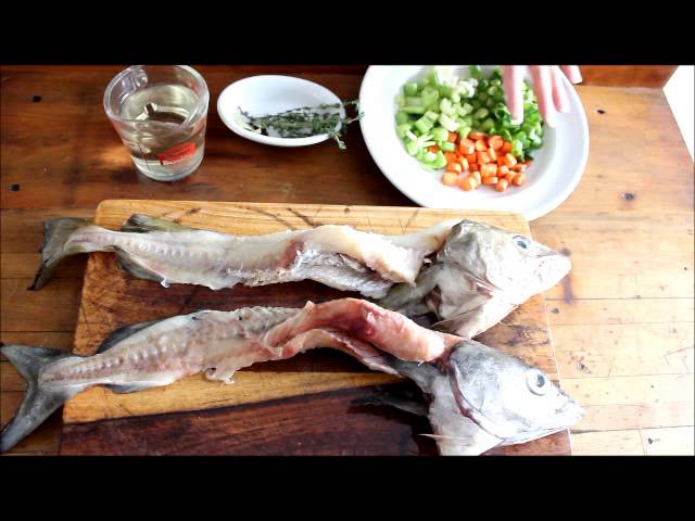 Stock Fish Body (Whole Large) - Fresh To Dommot