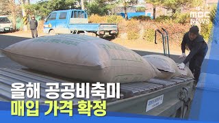 [대구MBC뉴스] 올해 공공비축미 매입 가격 확정