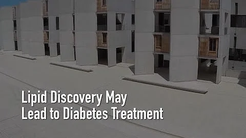 Lipid Discovery May Lead To Diabetes Treatment