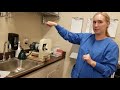 Week 1 Dental Lab