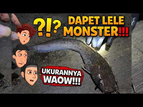 Awalnya Dikira Sampah ? DAPAT LELE MONSTER di Pinggir Jalan. Ukurannya Bikin Kaget.!