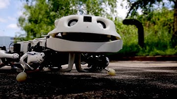 Salamanderrobot is echt | CNBC International