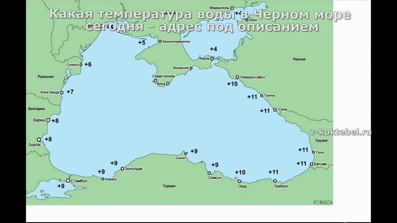 Температура черного моря сегодня новороссийск