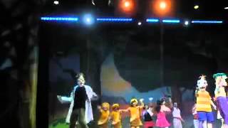 Phineas And Ferb Live Finale