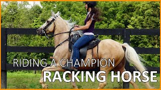 Riding A Champion Speed Racking Horse Discoverthehorse Episode 