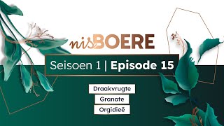 Nisboere 1 Episode 15 Draakvrugte Granate En Orgidieë