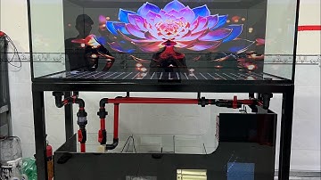 Hồ lọc dưới phao cơ chạy đa mực nước - Có dàn mưa -Bàn giao khách trà vinh