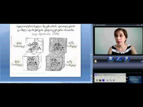 გვილია-ნეირობიოლოგია 4-1