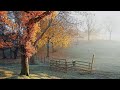 Поздняя осень.  Релакс. Late fall. Relax.