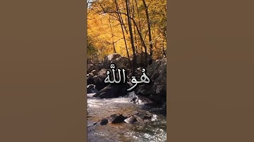 لَا يَسۡتَوِيٓ أَصۡحَٰبُ ٱلنَّارِ وَأَصۡحَٰبُ ٱلۡجَنَّةِۚ  #قران_كريم #تلاوة #اكسبلور #سورة
