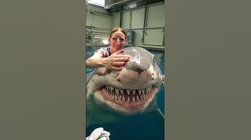 #AI  #ArtificialIntelligence  #MachineLearning  #DeepLearning  #ChatGPT  #OpenAI  #AITools  #shorts